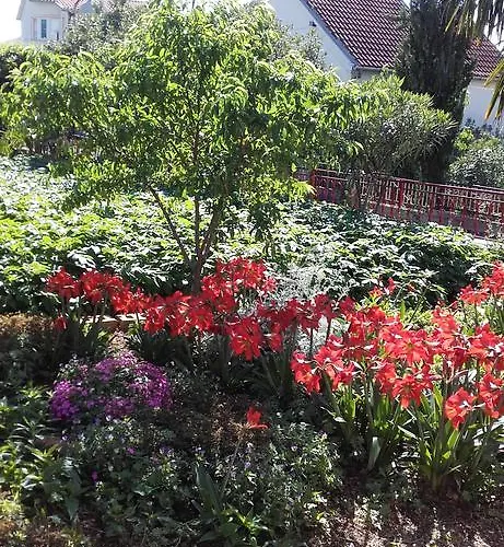 Гостевой дом Jozica 3*