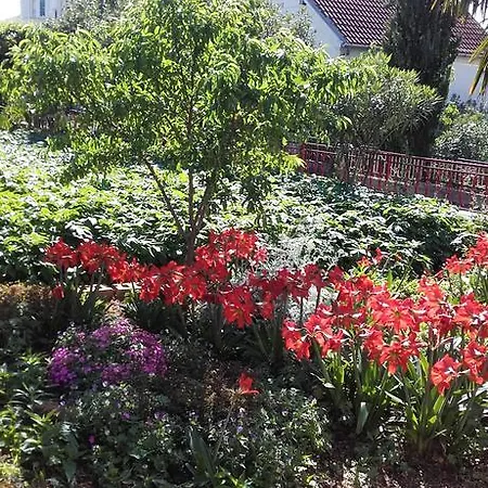 Guest house Jozica 3*
